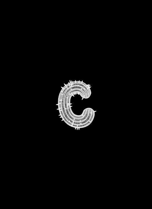 Project - Coachellito - studio foolish
