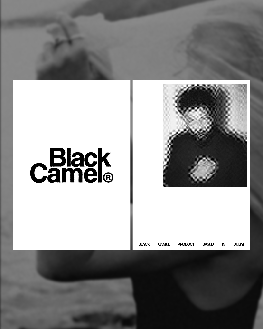Black Camel - design photo by studio foolish