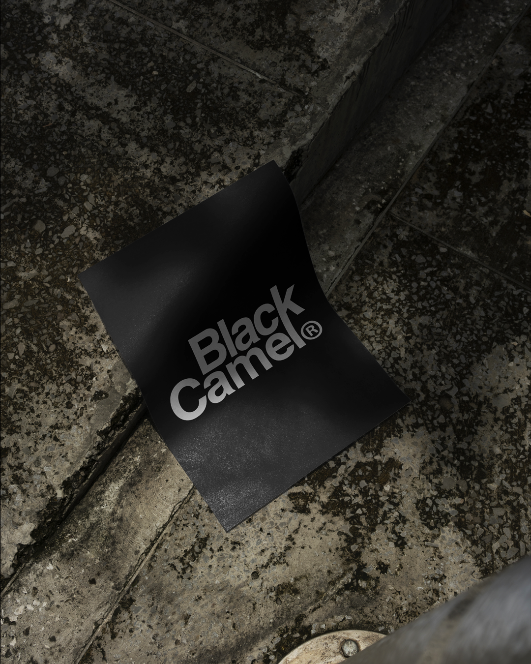 mock-up design - black camel - studio foolish