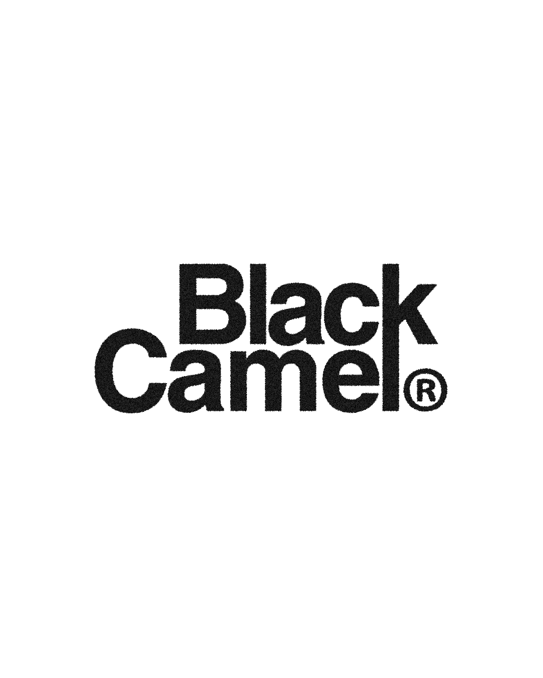 logo - blanck camel - studio foolish