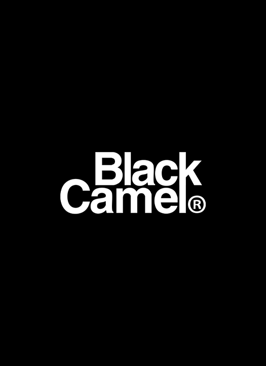 Project - black camel - studio foolish